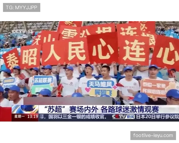 奥地利球迷热情助阵，赛场内外凝聚团结与支持的力量