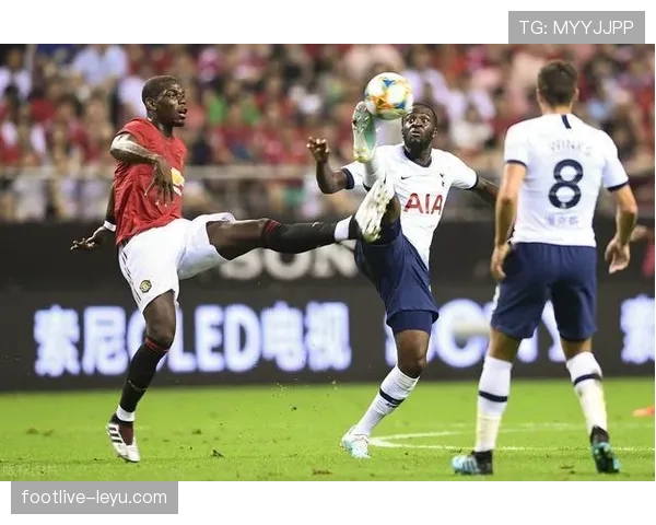 恩东贝莱因伤无缘法国队名单，球队前景引发关注